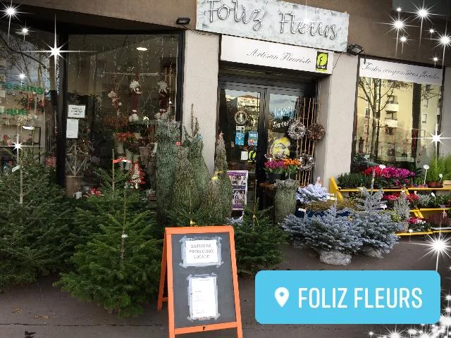 Foliz Fleurs