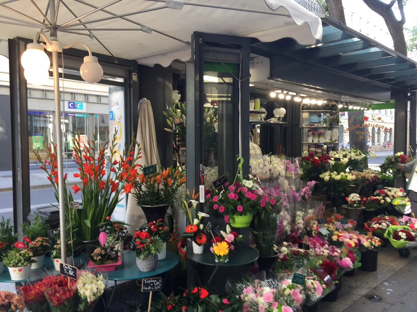 République Fleurs
