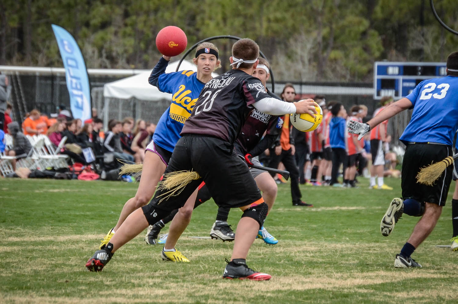 match de quidditch