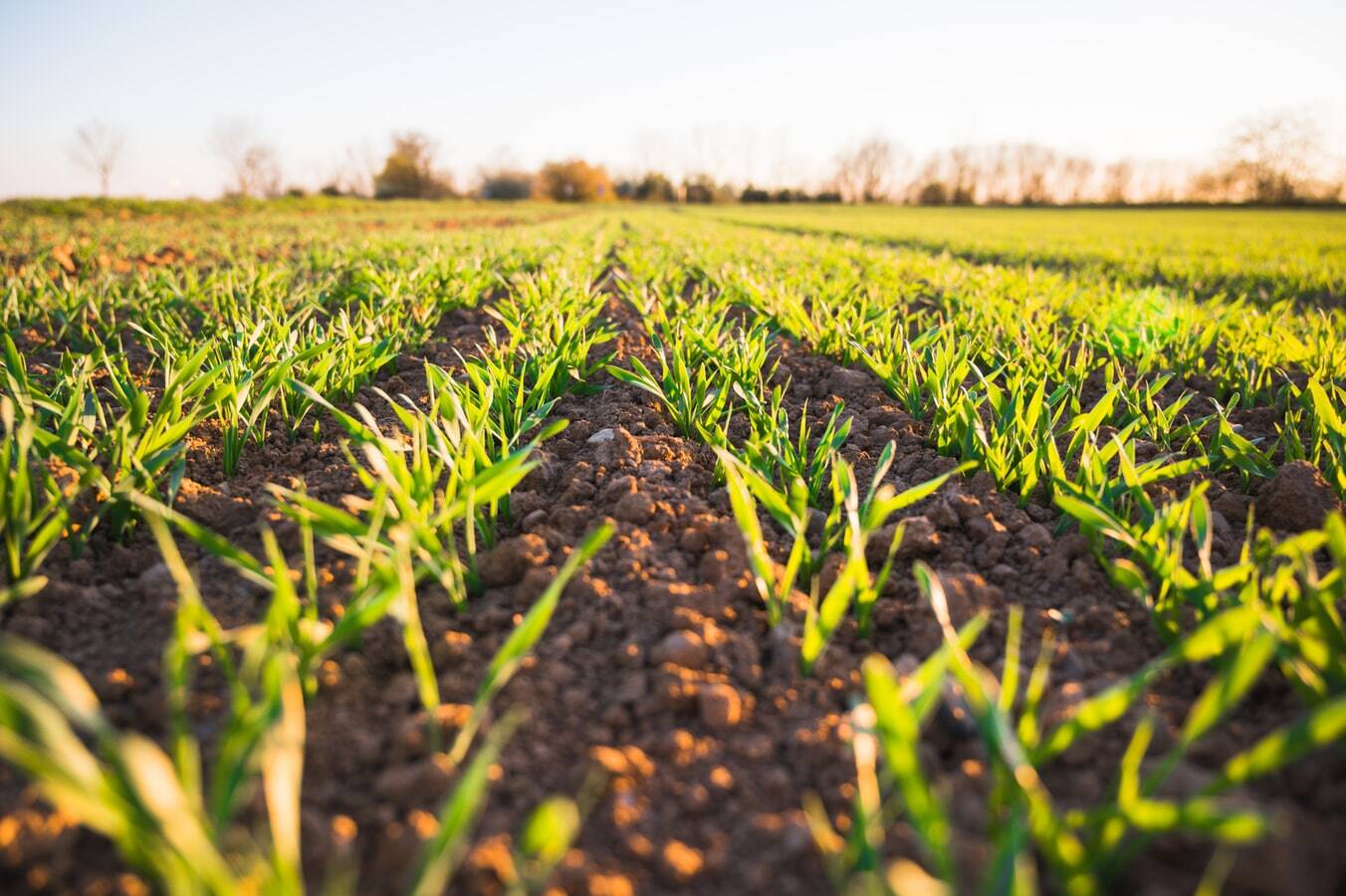 RÉSOLUTION 2021 N°7 : FAVORISER LA CONSOMMATION DE PRODUITS LOCAUX