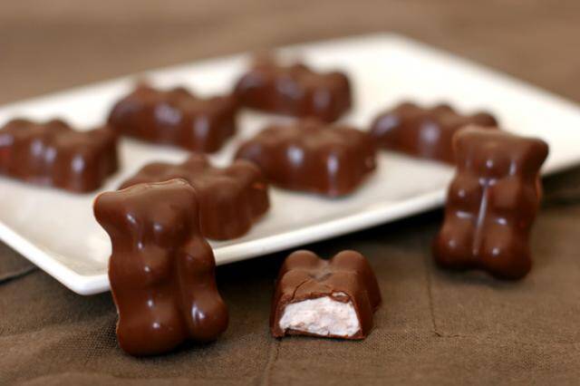 On a cuisiné pour vous #20 : des oursons guimauves en chocolat