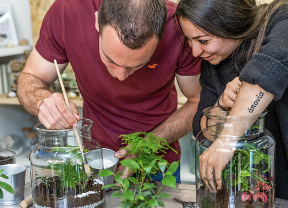 Confectionner son terrarium à Lyon