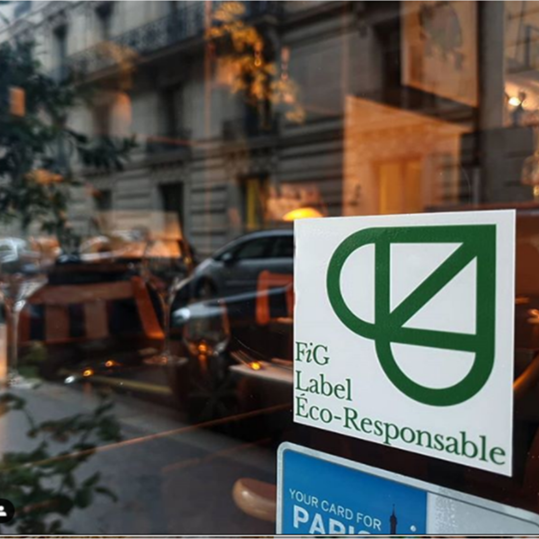 logo FIG
