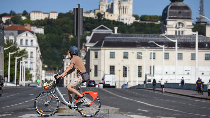 Une piste cyclable constituée de pins arrive à Lyon !