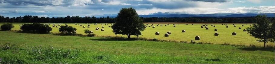 Les Fermes Imagine, des produits locaux de saison en circuit court