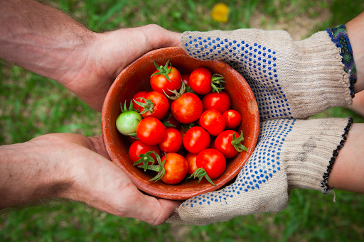 Solidarité : Les initiatives food lyonnaises pendant le confinement !