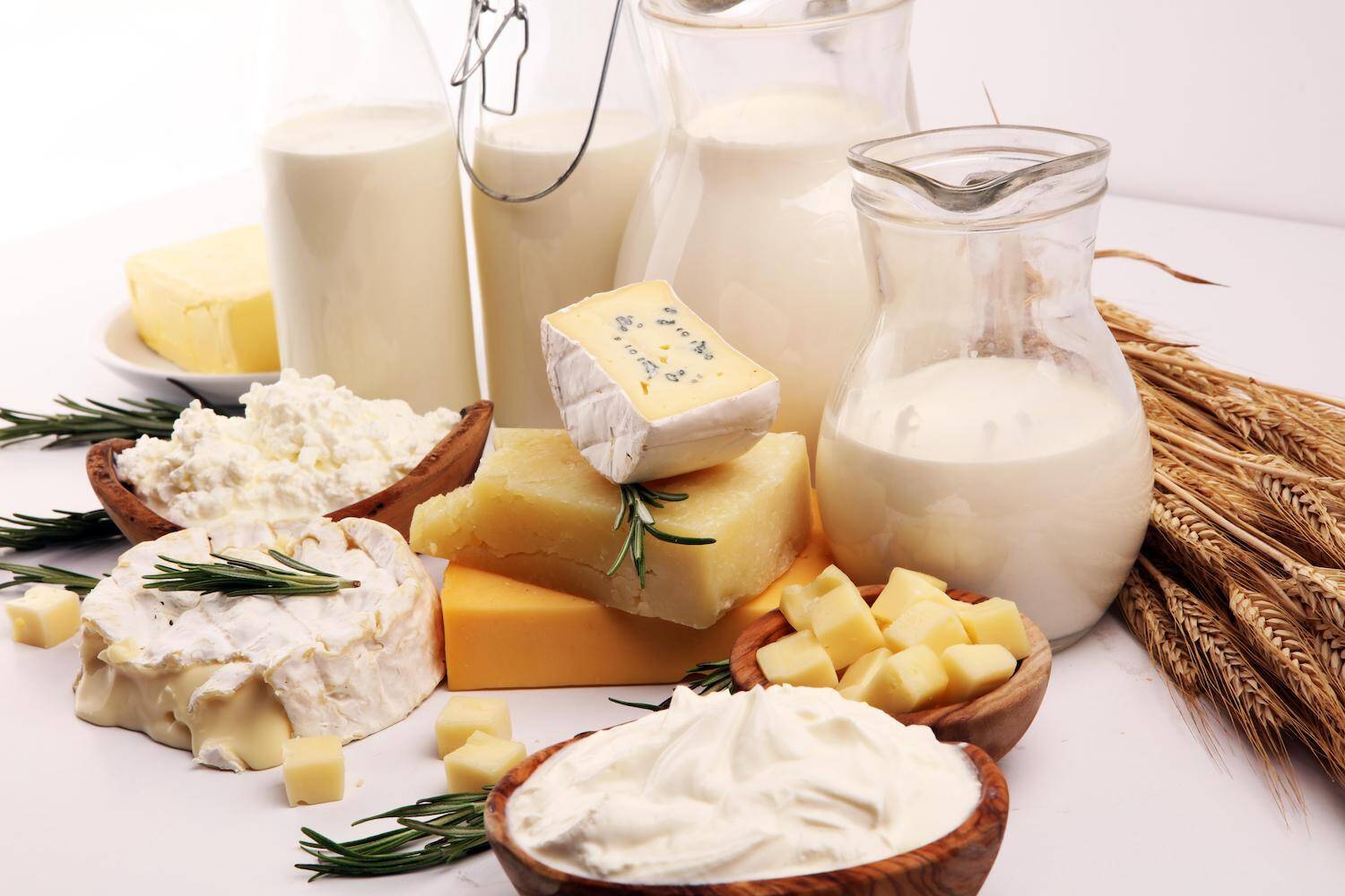 Place aux clacos ! Le Concours International de Lyon ouvre ses portes aux Fromages et Produits Laitiers !