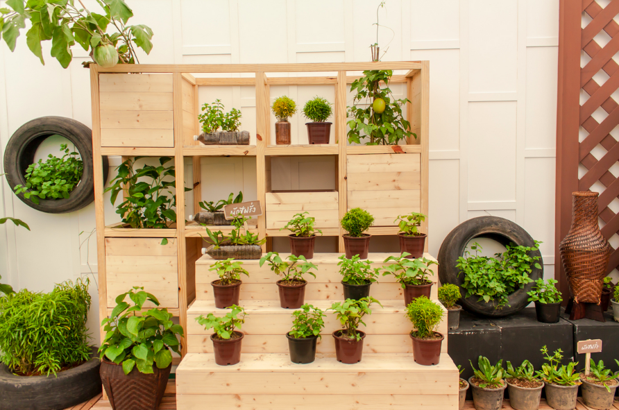 DIY : Verdir son appartement ? C’est super simple !