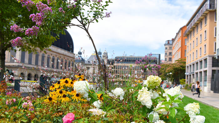 Savez-vous d'où viennent les fleurs plantées dans la Ville de Lyon ?