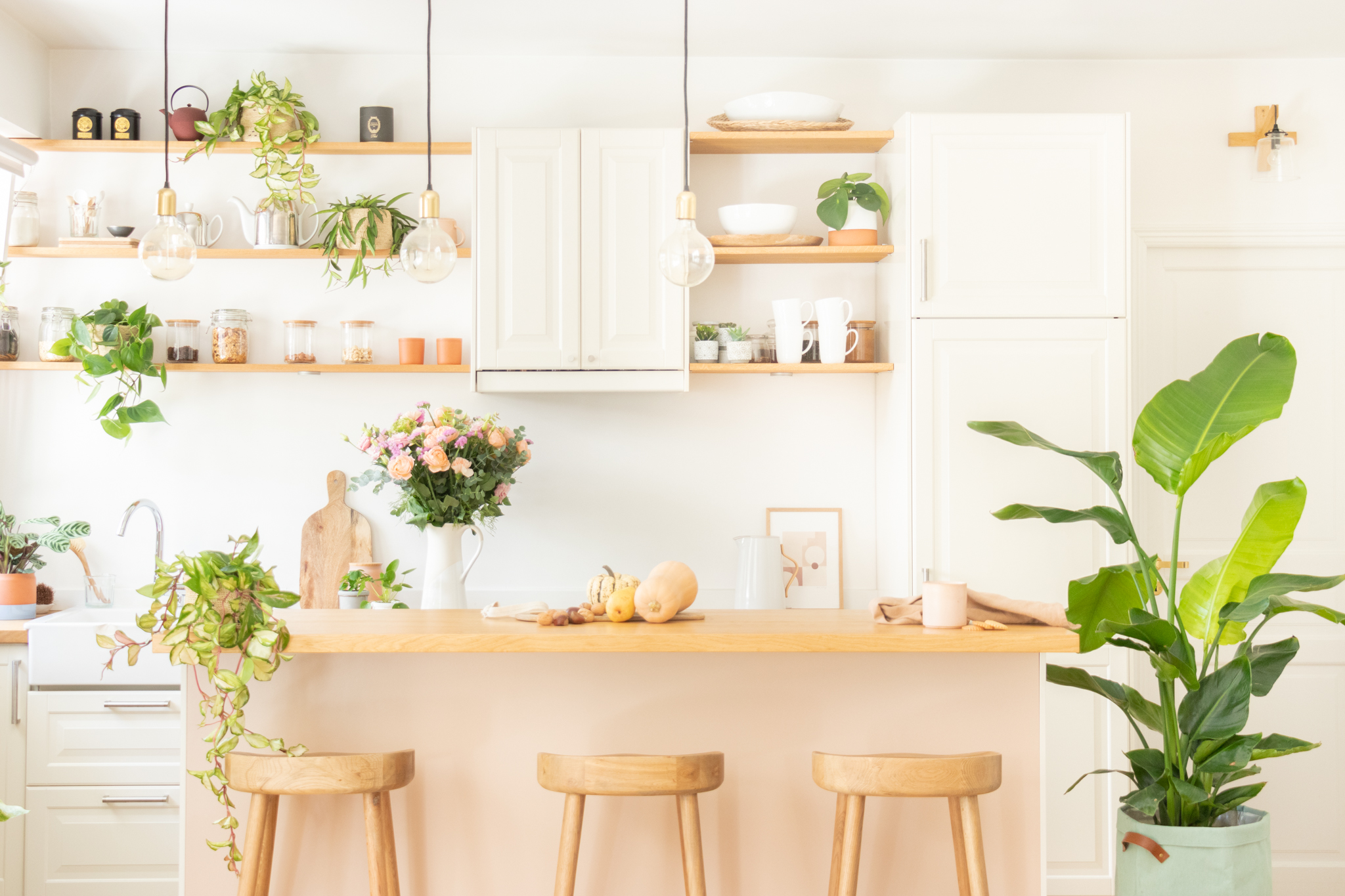 intérieur design avec plantes