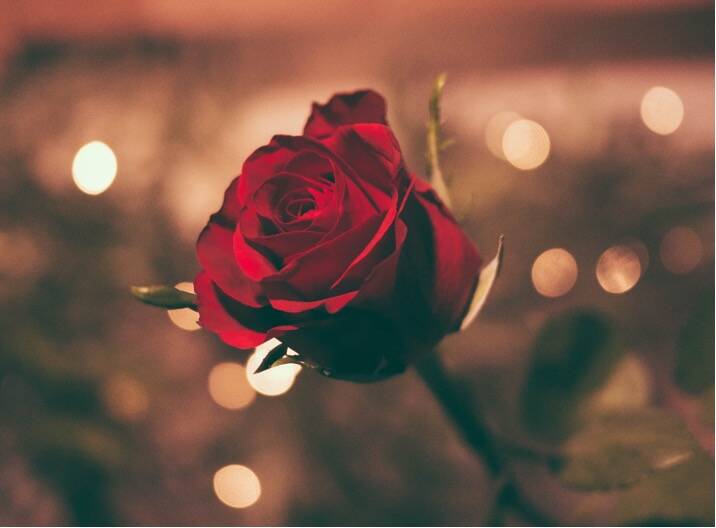 Notre programme pour une Saint-Valentin réussie