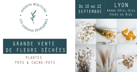 On a testé pour vous : Vente de fleurs séchées - Maison Bouture