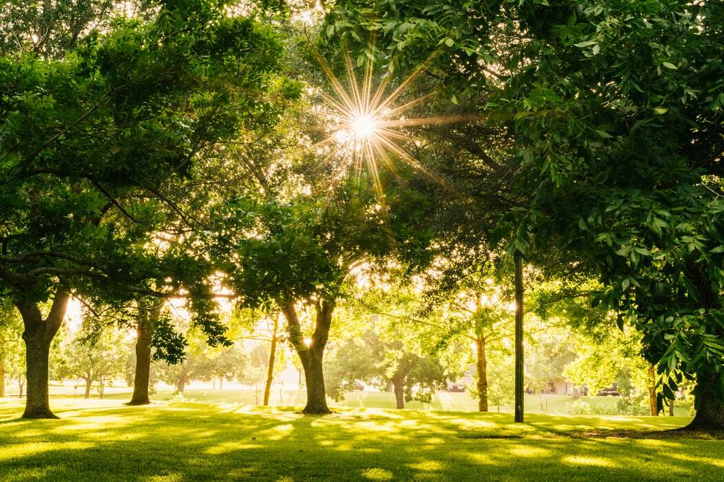 Espaces Verts : des parcs lyonnais ouverts dès 6h30 !