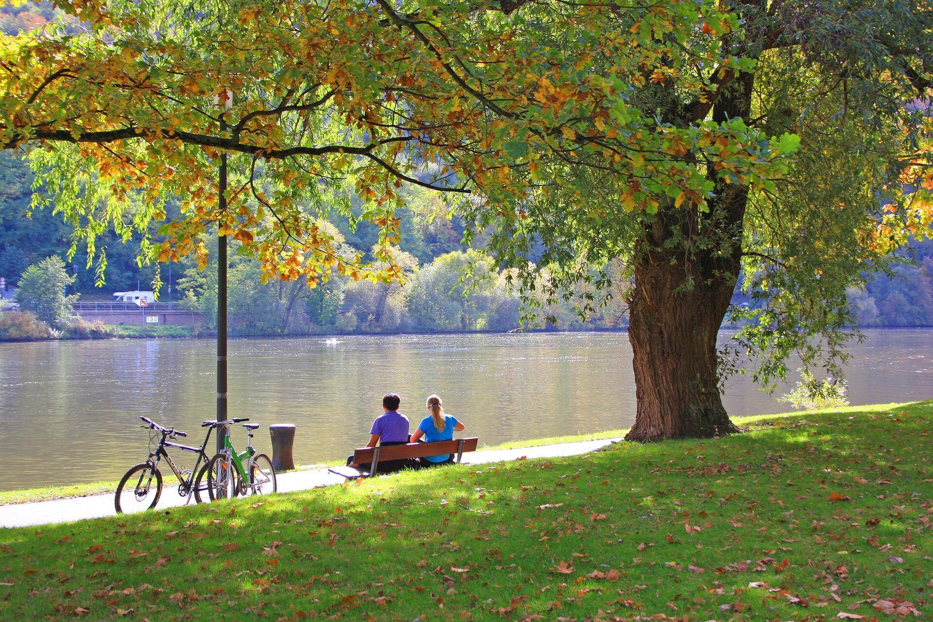 Top des endroits où chiller à l’ombre à Lyon