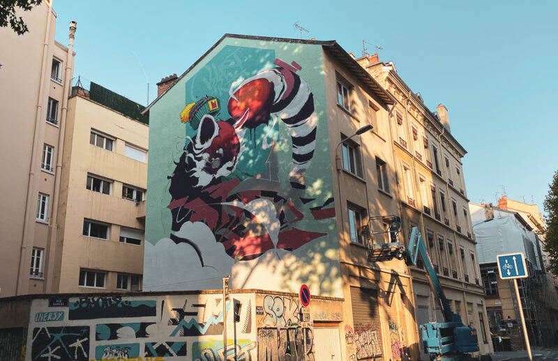 Un panda roux débarque sur les murs de Lyon !