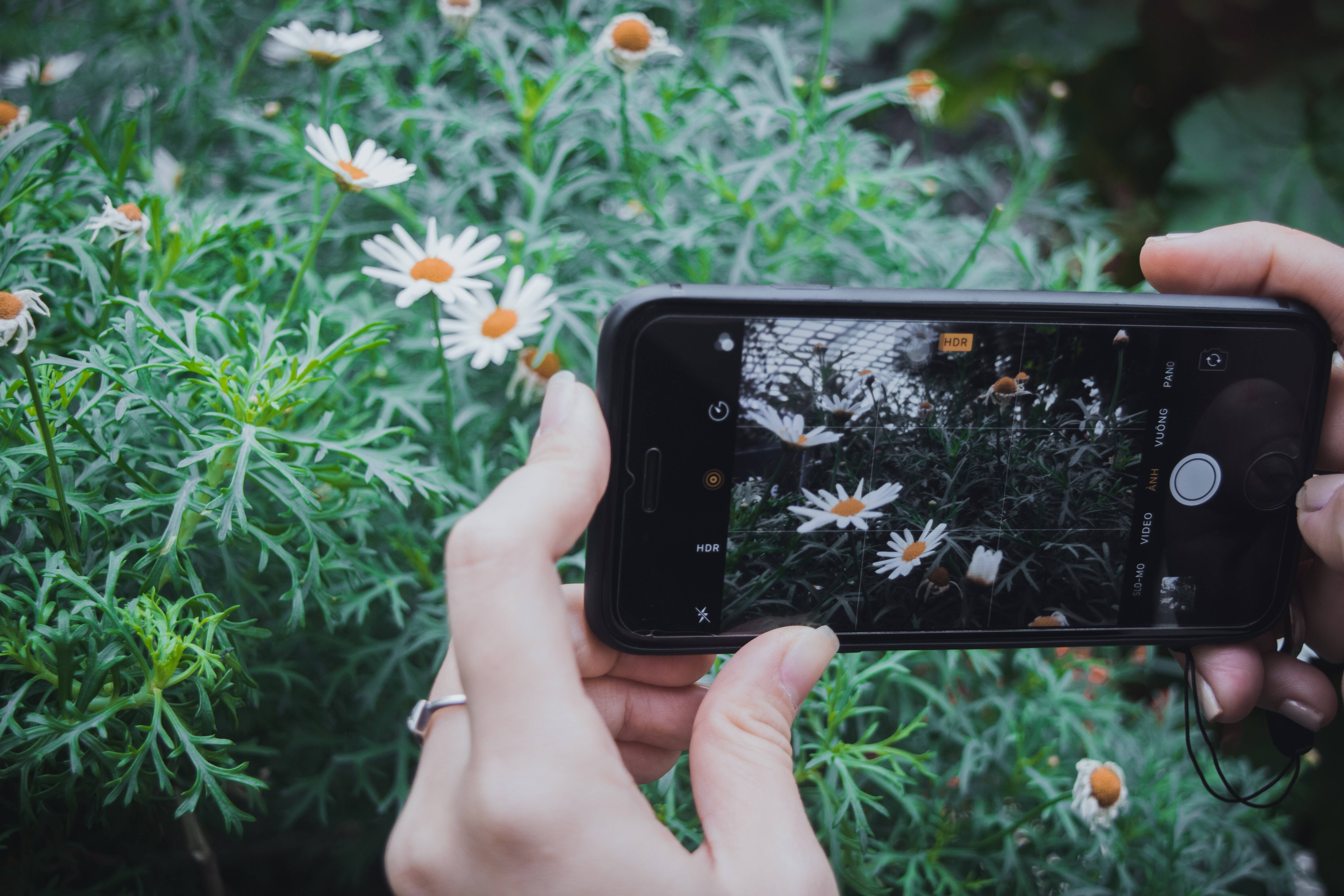 Projet Pl@ntNet : Découvrez le shazam des plantes