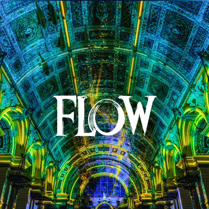 FLOW : quand la Moldau submerge le Palais de la Bourse