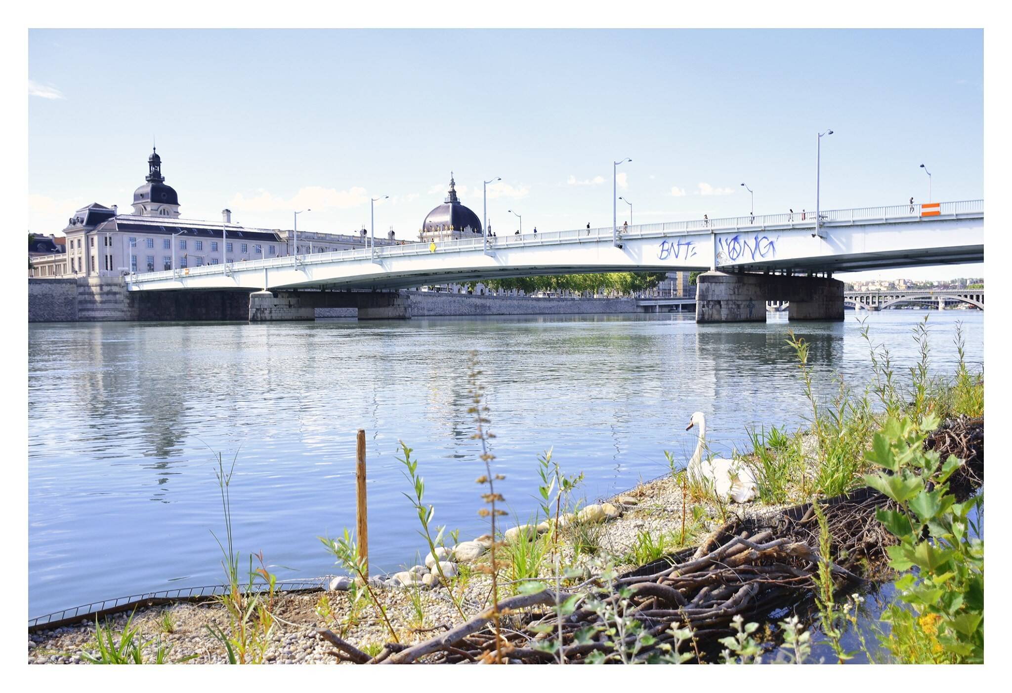 Gabiodiv : le projet de deux lyonnais œuvrant au retour de la faune et de la flore sur les berges du Rhône !