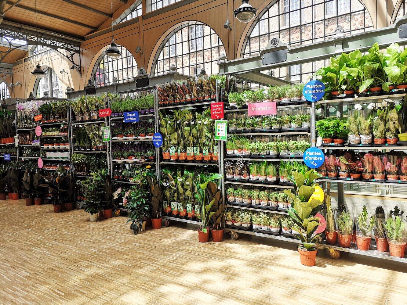Exclu : Plantes Pour Tous ouvre sa jardinerie à La Part-Dieu