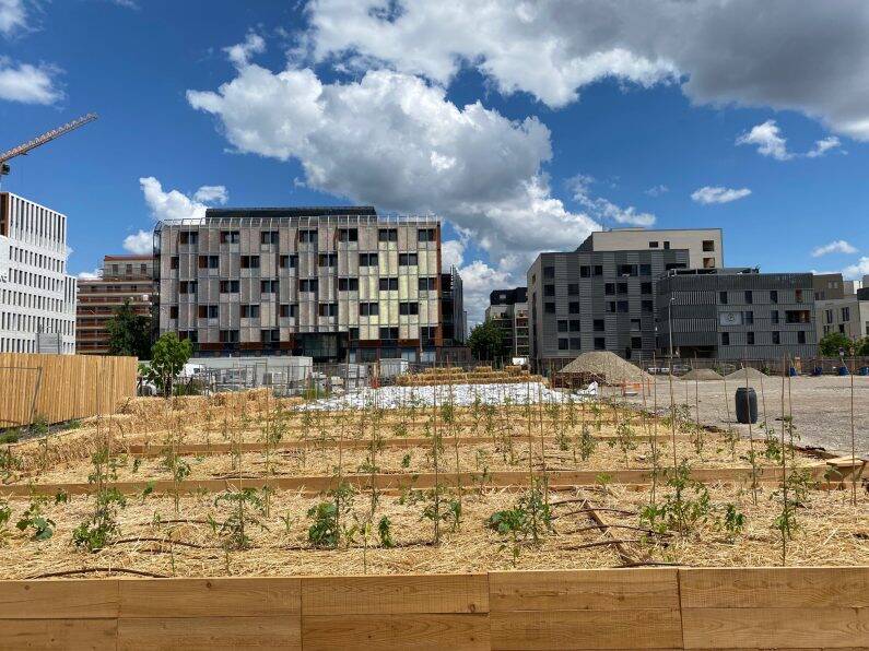 ECOLOGIE : Une ferme urbaine à Gerland !
