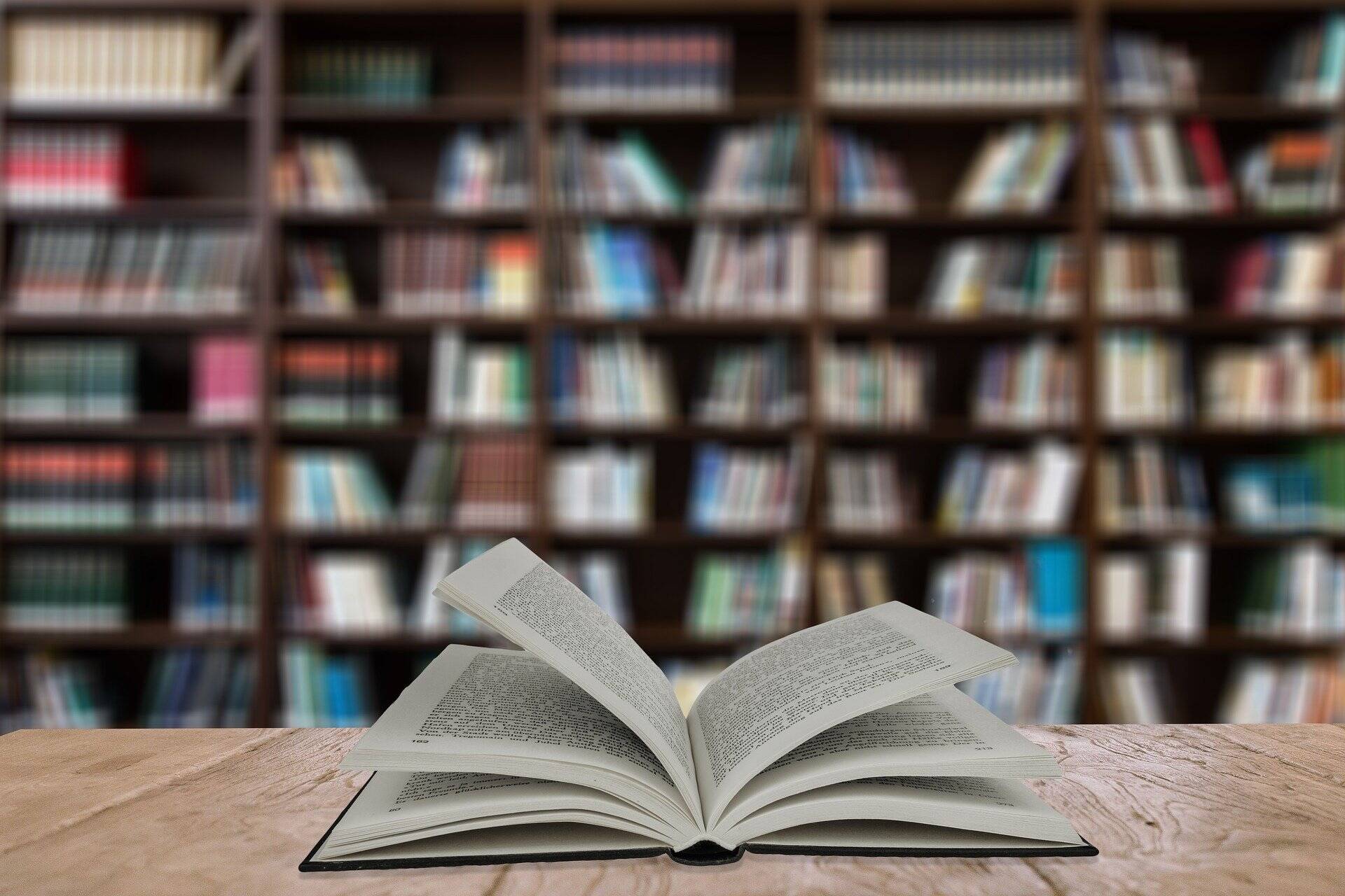 Notre sélection des meilleures librairies lyonnaises