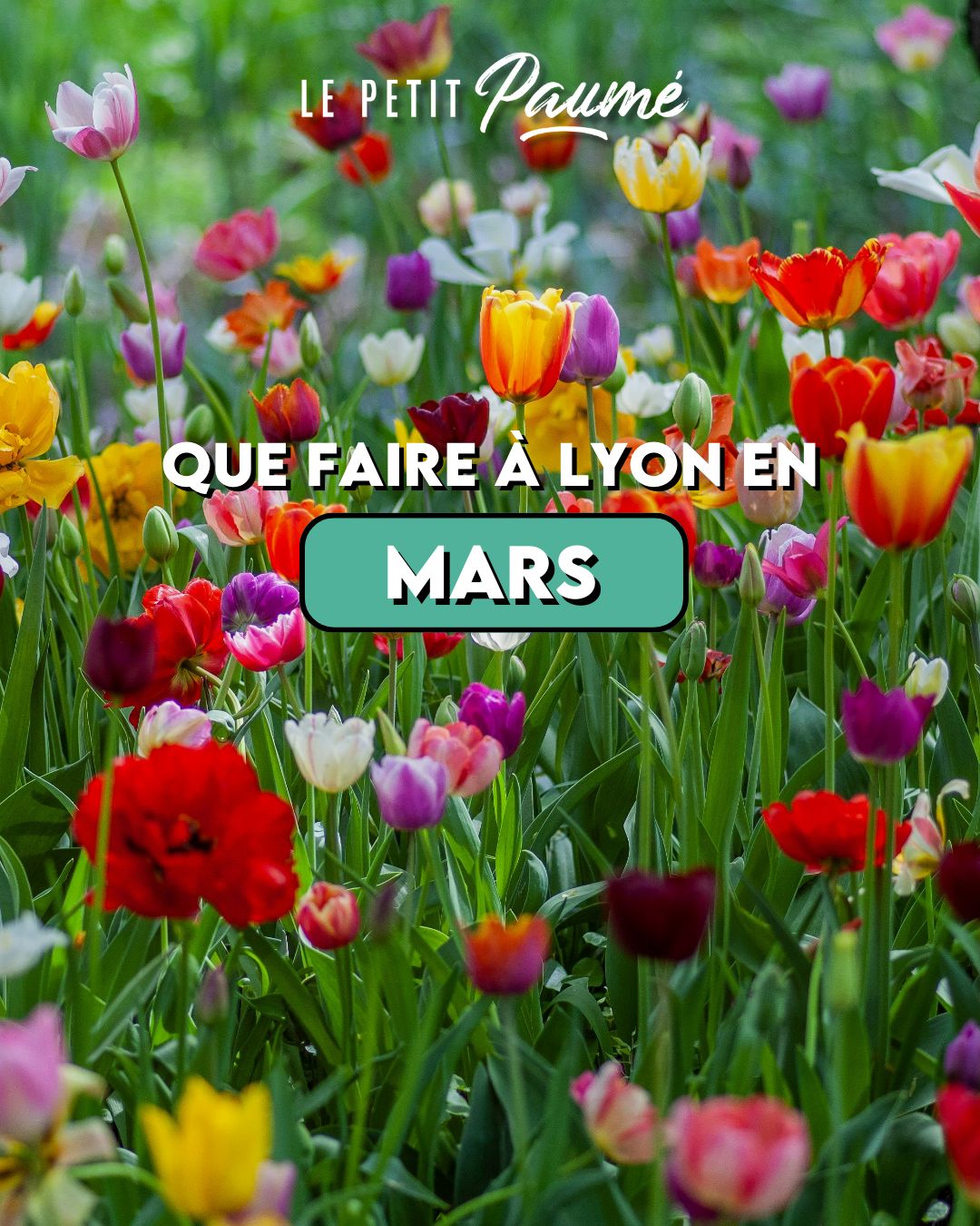 Que faire à Lyon en Mars (2026) ?
